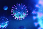 47都道府県が“コロナウイルスは存在しない”と回答した公文書一覧