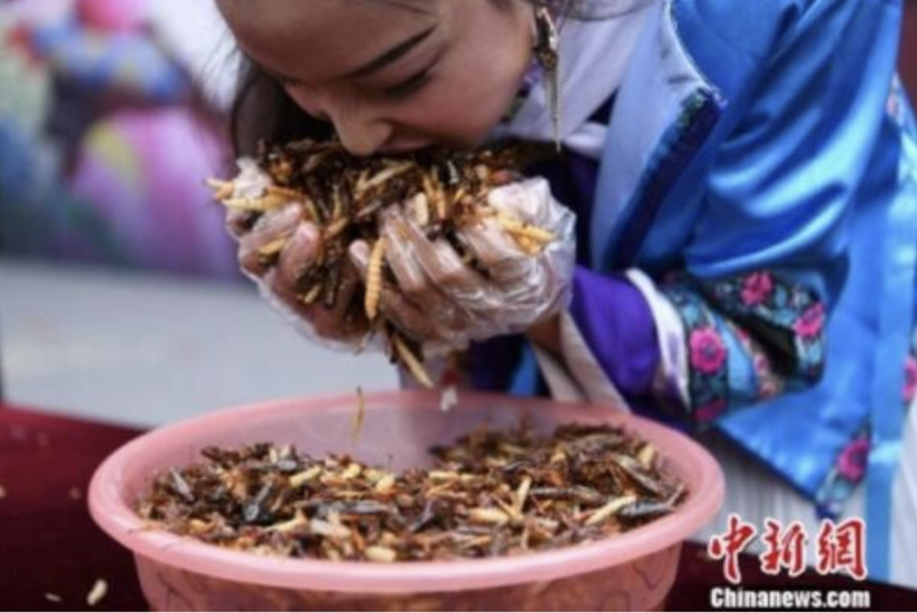 食糧危機を演出し、世界中に「昆虫食」を普及させている黒幕も「中国共産党」だった