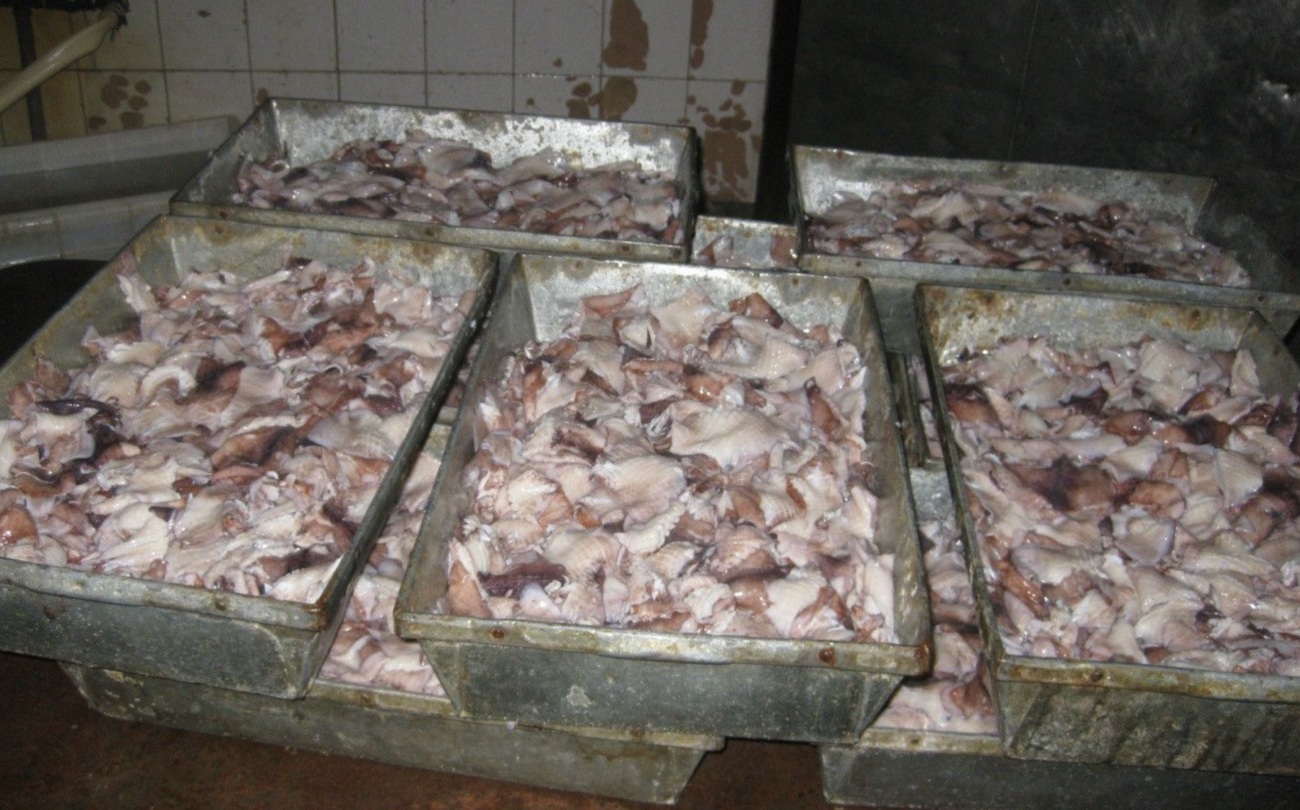 【警告】中国産輸入食品97件が食品衛生法違反（今年4月5日〜10月6日までの統計）　死亡する危険性のあるカビ毒「アフラトキシン」や農薬などを検出
