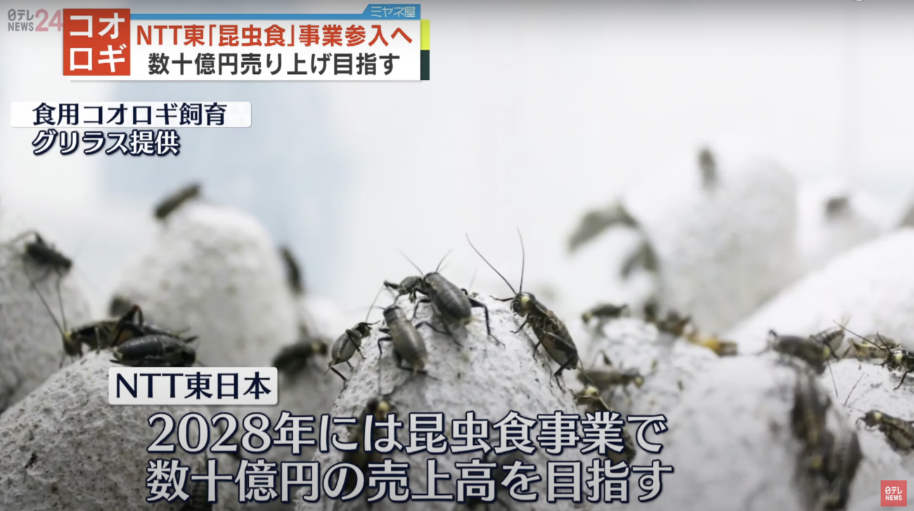 NTT東日本が『昆虫食』に参入　2028年までに飼育所を600か所に　食糧危機を捏造し、人々の健康を害する破壊工作に加担