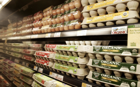 アメリカでも卵の価格が異常な高騰　1パック2500円に　アメリカ国内で6000万羽の鶏を殺処分した結果