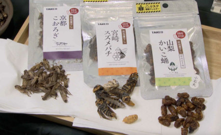 【中国共産党のプロパガンダ紙】毎日新聞が「日本の食用昆虫産業は主流になろうとしている」と英語で報じ、事実と異なるとして批判殺到