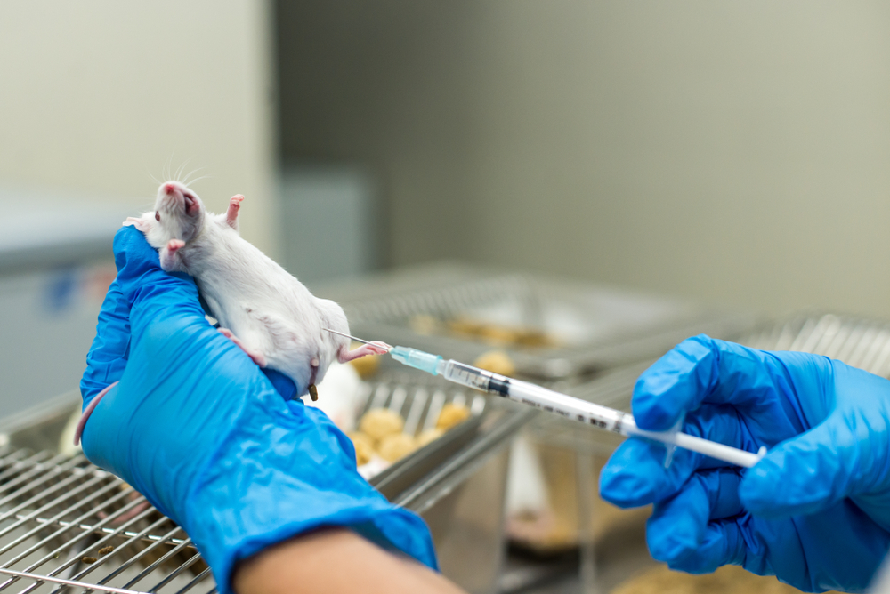 コロナワクチンを接種した動物は全て死亡 ワクチンの安全性と有効性は証明されていない
