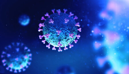 47都道府県が“コロナウイルスは存在しない”と回答した公文書一覧