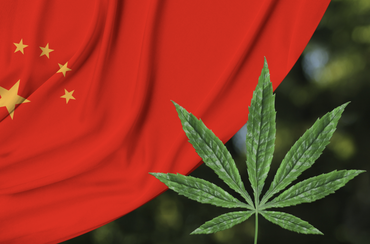 【中国は世界一の大麻生産国】日本で大麻を解禁しようとする動きも、中国共産党による工作だった!!