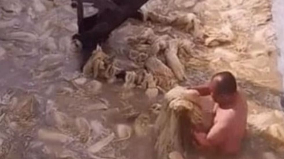 【閲覧注意】キムチの中に裸で浸かる男、大量のネズミが住みつく唐辛子の山…中国の食品製造現場のおぞましい実態