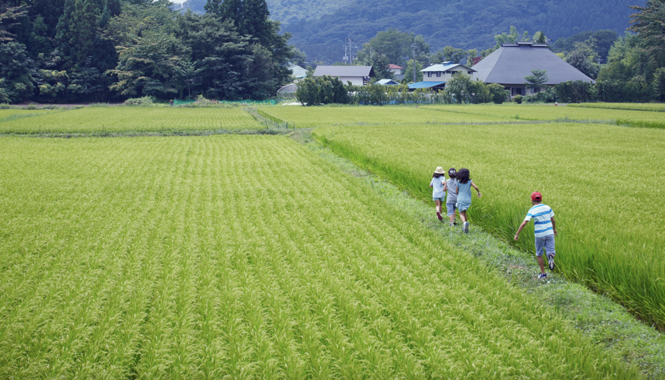 東洋経済オンラインが『稲作が地球温暖化の原因になる』とのデマを報じ物議　稲作は6兆円相当の酸素を生み、気温上昇を抑制