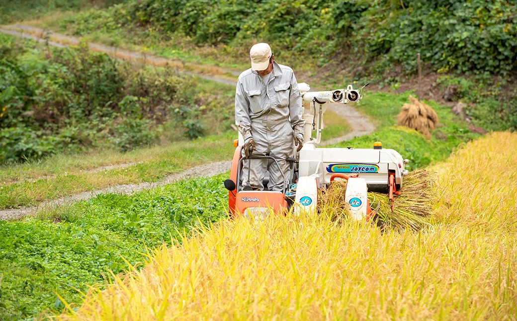 【日本の米がなくなる!!】日本の米農家の98％が赤字　東京ドーム2個分の土地で米を栽培しても年13万円の利益