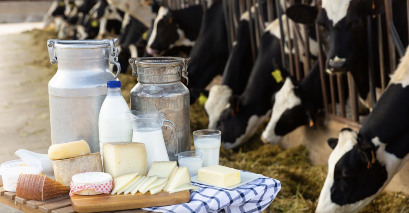 国内で年間20万トンの生乳を減産・廃棄させる中、13.7万トンの乳製品を輸入　輸入義務はなし『独立行政法人・農畜産業振興機構』が利権を握る