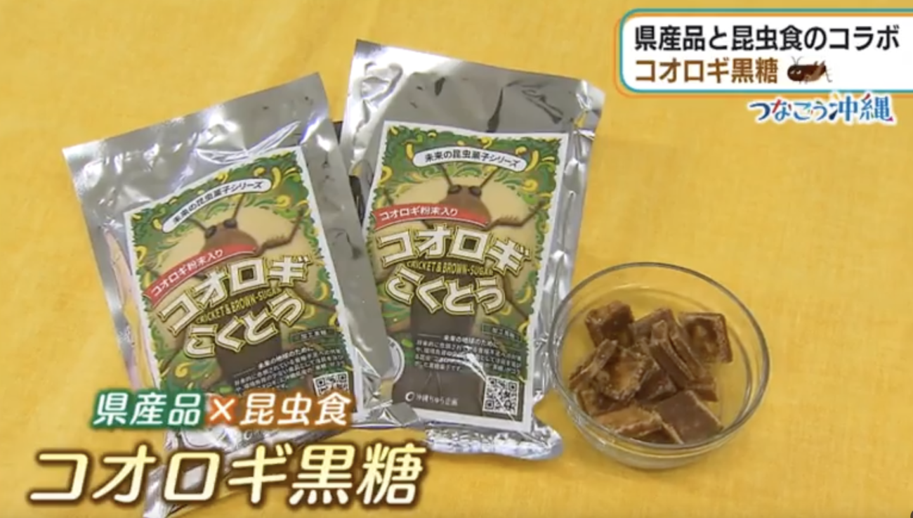 【琉球黒糖株式会社】コオロギ粉末の入った『コオロギ黒糖』を製造していたことが判明し、批判殺到　謝罪に追い込まれる