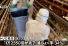 【さらに続く食料危機ねつ造】青森県蓬田村で鳥インフルエンザを検出　33万羽の鶏が殺処分　県内で3例目、全国で81例目
