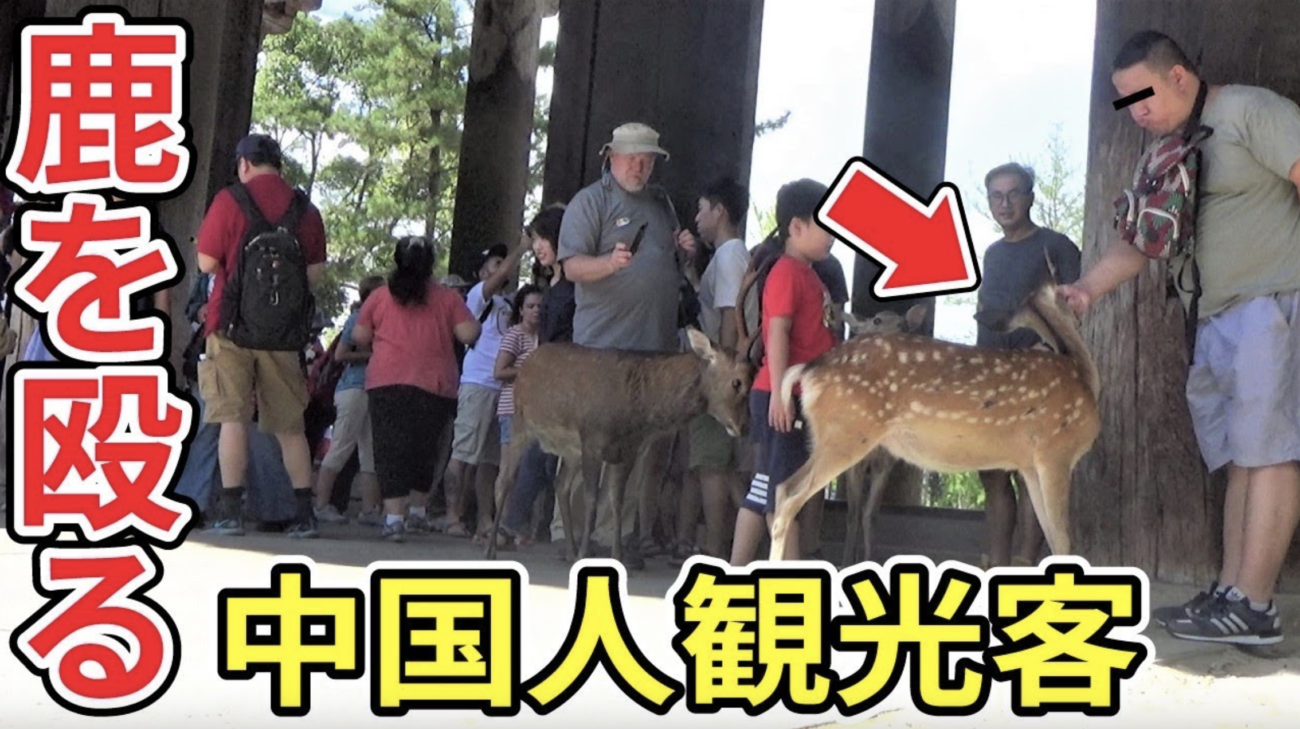 【因果応報】奈良公園の鹿をめぐるトラブル、過去最高の180件　中国人が鹿を殴り、餌を与えず焦らすため、鹿が中国人を判別して攻撃