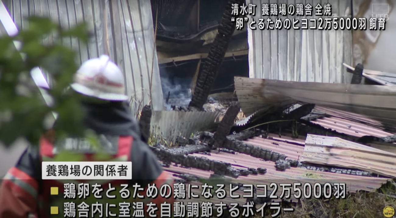【食料危機の捏造】北海道清水町の養鶏場で鶏舎が全焼　2万5000羽のヒヨコが焼死　