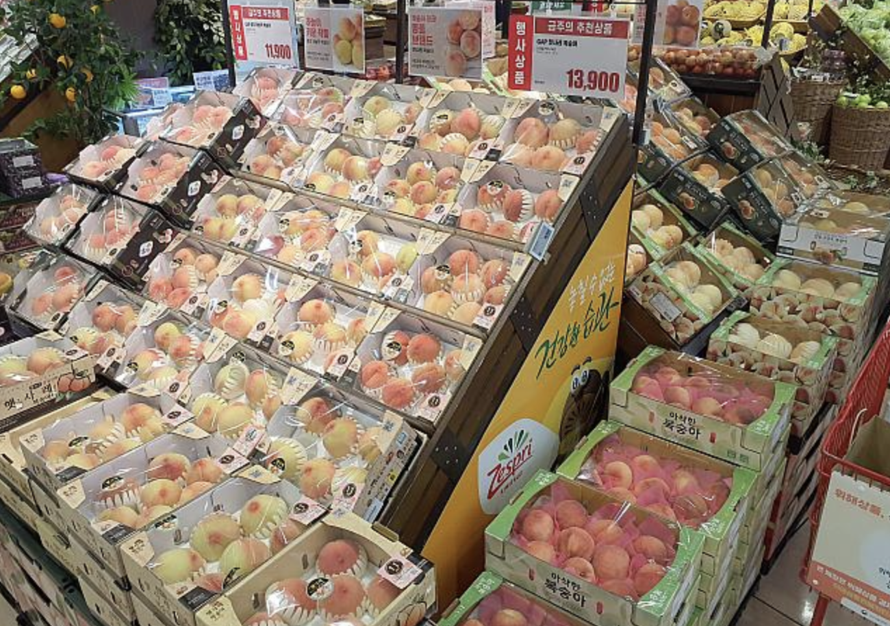【韓国メディア】韓国の農家が日本の農家から桃などのブランド品種の木の枝を盗んで栽培したことを「脱法を辞さない個人の努力」などと賞賛して報道し、日本人の怒りが爆発