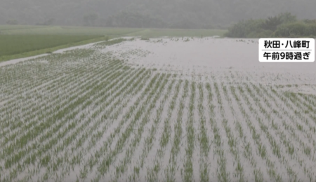 【人工降雨による食料危機の捏造か?】食糧自給率・全国2位の秋田県、大雨で3000ヘクタールの農業被害、自動車4000台が浸水・水没