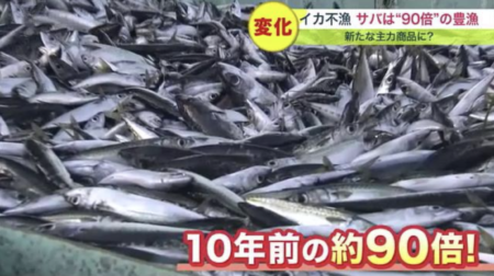 【食料危機から遠い日本】北海道のサバの漁獲量、10年前の約90倍に増加