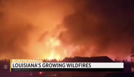 【米ルイジアナ州】先月発生した史上最大規模の山火事は『放火』が原因　当局が発表　8月1日〜8月24日までに441件、焼失面積は3万3000エーカー
