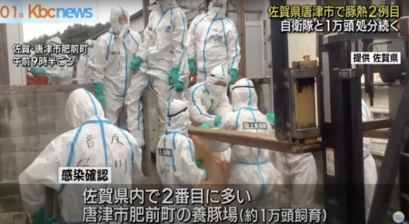 佐賀県唐津市の養豚場2ヶ所で『豚熱』が発生、1万頭を殺処分　厚労省「感染した肉を食べても人体に影響はない」と呼びかけ