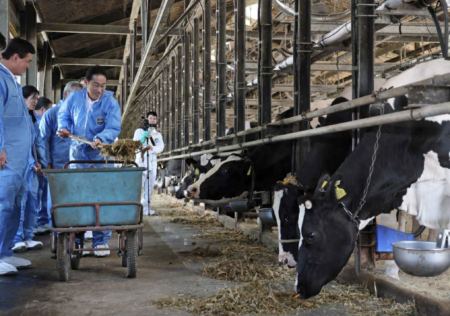 岸田総理、栃木県の牧場を視察　国産飼料の生産拡大と乳製品のさらなる輸出促進の支援を表明　国民からは“選挙前の単なるパフォーマンス”と揶揄される