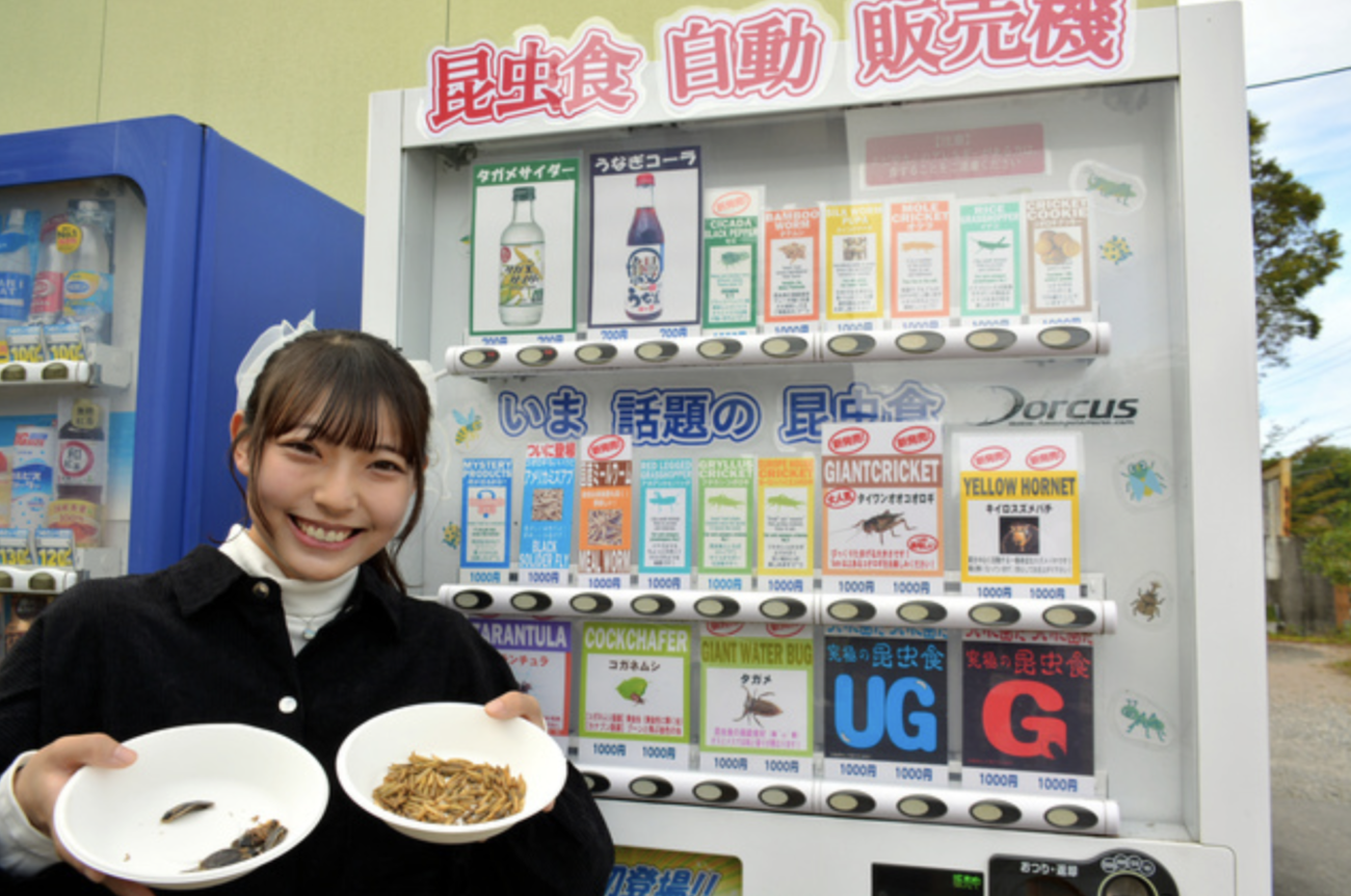 岐阜県の自動販売機で、ゴキブリとウジ虫の加工食品『究極の昆虫食GとUG』の販売がスタート