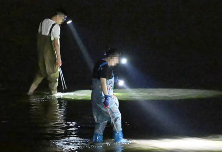 千葉県木更津市の海岸で、中国人グループによるワタリガニやクルマエビの密漁が横行　行政は取締りに乗り出さず