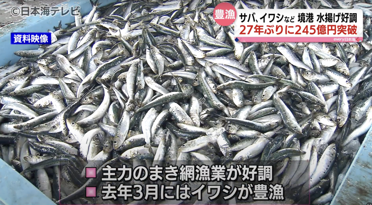 【食料危機が来ない日本】鳥取県境港、水揚げ金額が27年ぶりに245億円を突破、サバやイワシが豊漁