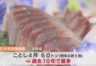 【食料危機が来ない日本】富山県で『フクラギ』が豊漁　水揚げ量は例年の5倍、過去10年間で最高を記録