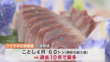 【食料危機が来ない日本】富山県で『フクラギ』が豊漁　水揚げ量は例年の5倍、過去10年間で最高を記録