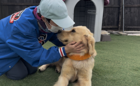 神様に祈り求めることで、動物たちの間で起きた不思議なしるしと奇跡の数々‼︎（十二弟子・NANAさんの証）