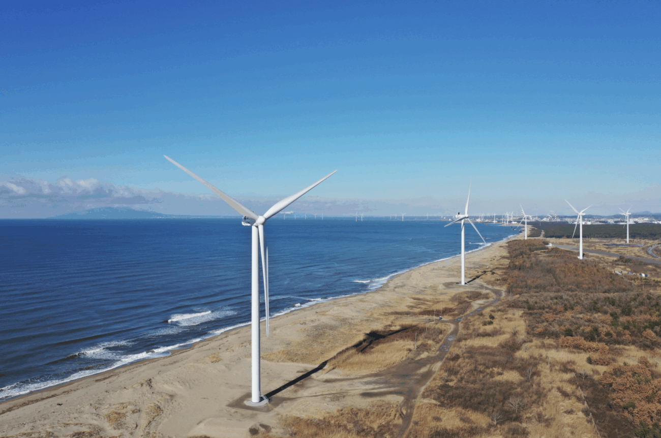 風力発電の事故、5年間で約200件発生、各地で風車が倒壊・羽根が破損 オジロワシなど希少な鳥類も犠牲に
