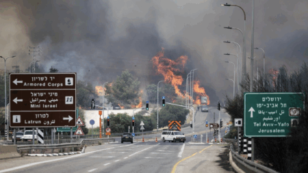 【イスラエル】過去最大規模の山火事が発生　東京ドーム約430個分が焼失　カッツ国防相「国家的非常事態だ」