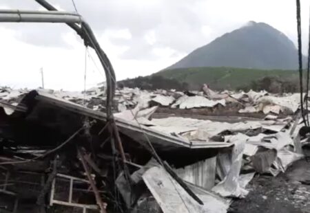 【捏造される食糧危機】長崎県島原市の養鶏場で火事、鶏約6万7000羽が焼け死ぬ