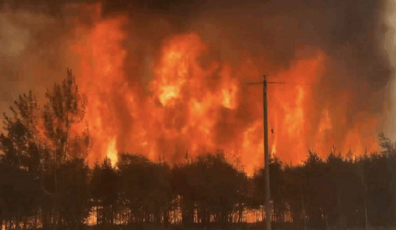 【カナダ】数週間にわたって山火事が発生 東京ドーム約43万個分200万ha以上が焼失 3州で計3万人以上が避難