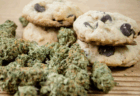 大麻草入りのクッキーを食べた大学生が2階の窓から飛び降り、病院に搬送されていたことが判明「SNSで著名人が宣伝をしていたのを見て興味を持った」