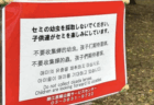 【侵略】東京の公園、中国人がセミの幼虫を大量採取、公園管理者が「採取禁止」の張り紙 「一度に何十匹もとなると、さすがに度を超えている」