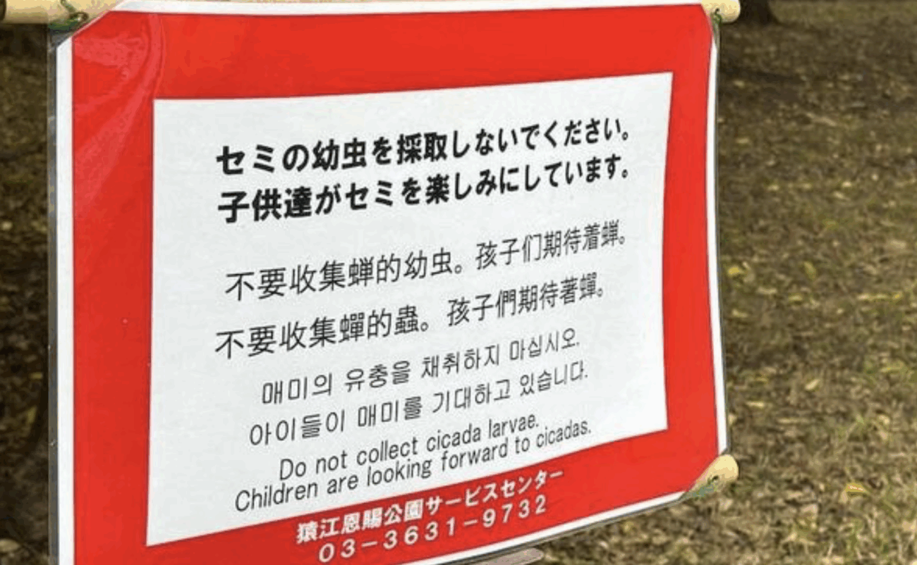 【侵略】東京の公園、中国人がセミの幼虫を大量採取、公園管理者が「採取禁止」の張り紙 「一度に何十匹もとなると、さすがに度を超えている」