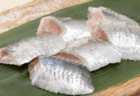 【食糧危機が来ない日本】千葉県銚子漁港で『イワシ』が豊漁、水揚げ量は前年の15倍超に　原因は不明