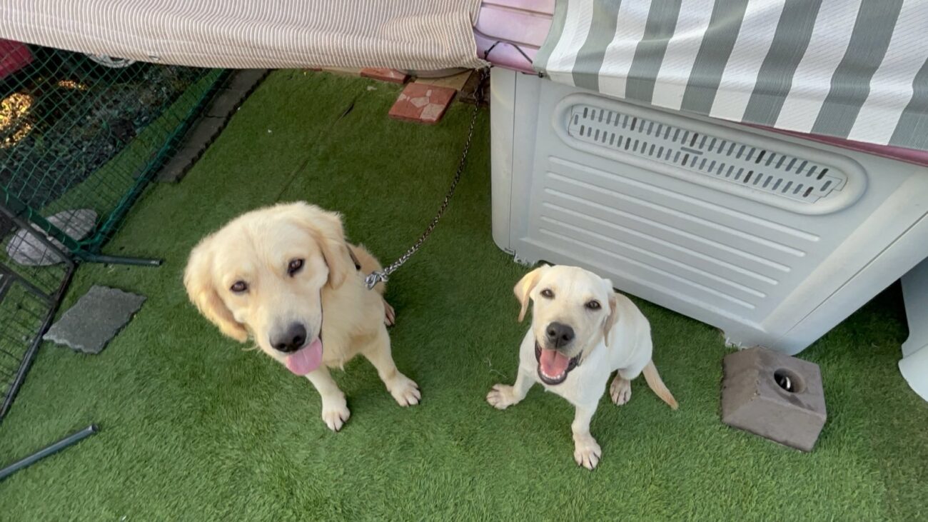 【お知らせ】本日は記事の更新をお休みいたします