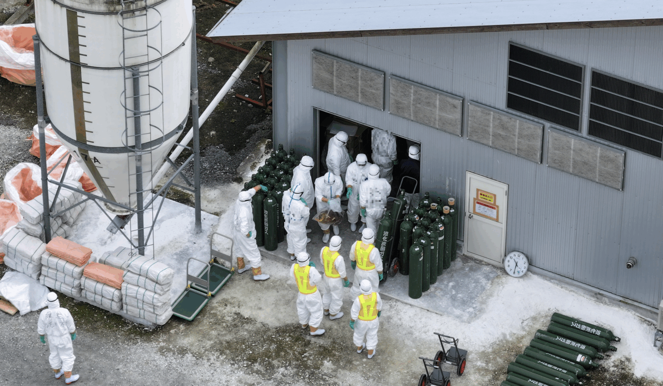 【捏造される食糧危機】北海道白老町の養鶏場で今季初の鳥インフルエンザの感染を確認 北海道で飼育中の採卵鶏およそ8%にあたる約45万9000羽を殺処分