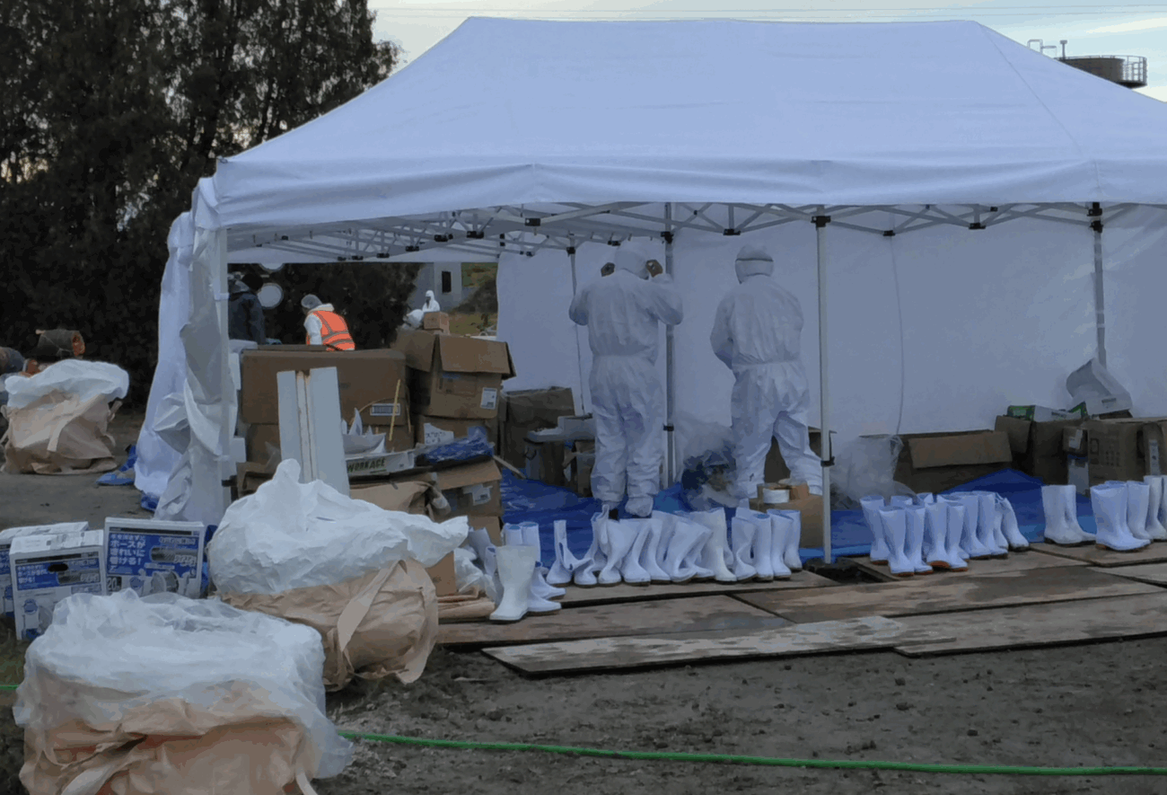 【捏造される食料危機】北海道・恵庭市、養鶏場で死んだ鶏から鳥インフルエンザ感染確認 全国で今季2例目 23万6000羽を殺処分へ