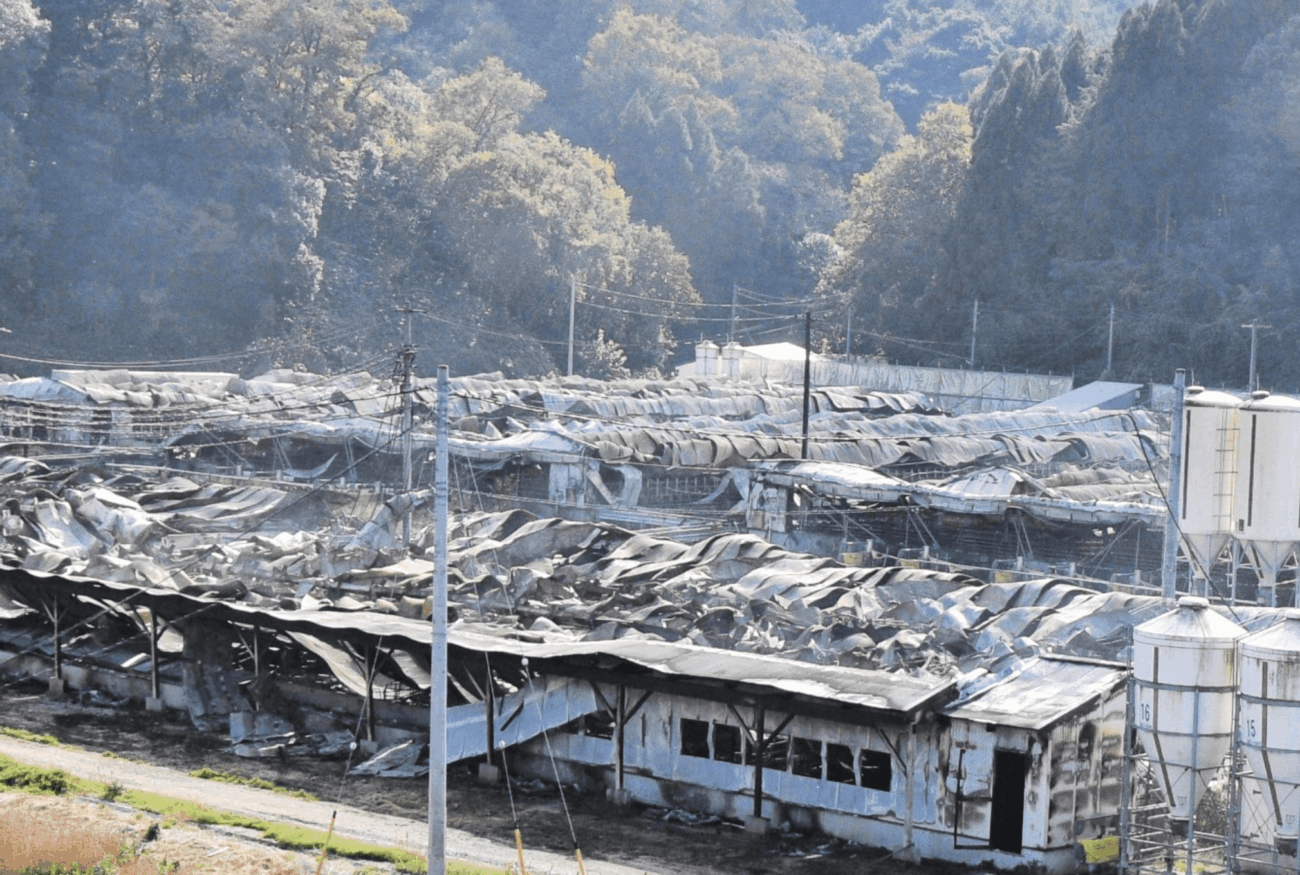 【捏造される食糧危機】鳥取県南波町の養豚場で大規模な火災、豚約4000頭が焼け死ぬ