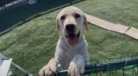 【お知らせ】本日は記事の更新をお休みいたします