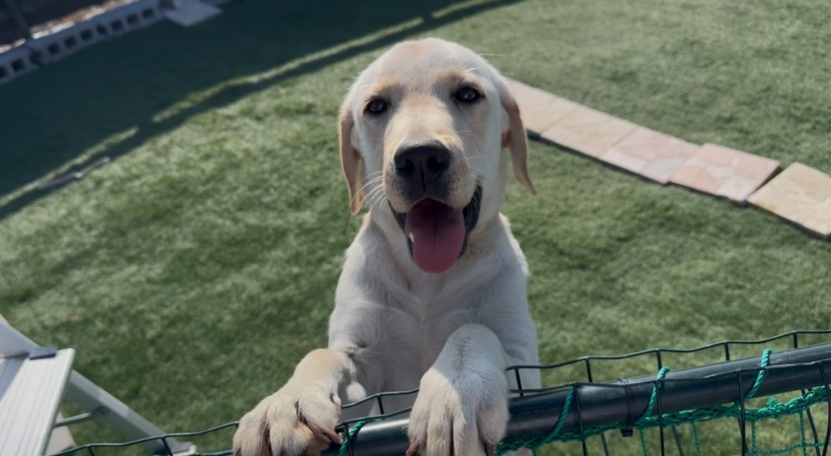 【お知らせ】本日は記事の更新をお休みいたします